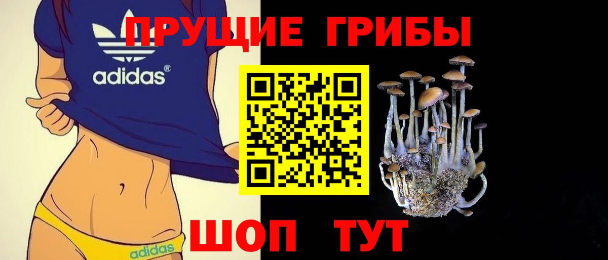 цены   Галлюциногенные грибы Psilocybine cubensis  Вход с VPN  Мирный 